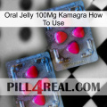 Oral Jelly 100Mg Kamagra How To Use 14